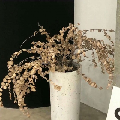 兽设配饰设计灵感合集兽圈社群